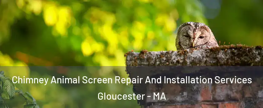  Chimney Animal Screen Repair And Installation Services Gloucester - MA