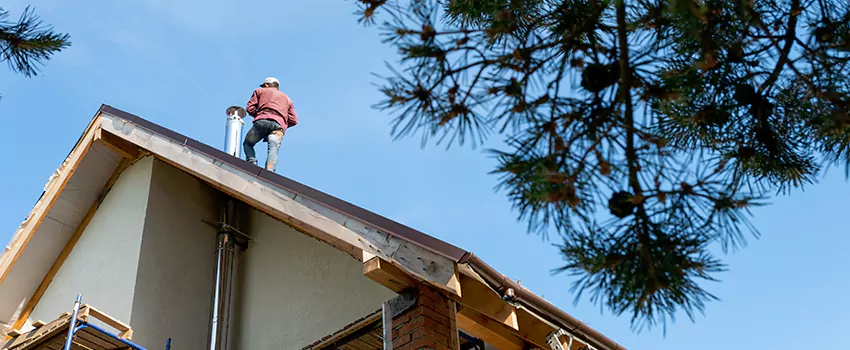 Birds Removal Contractors from Chimney in Gloucester, MA