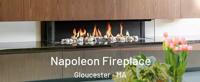  Napoleon Fireplace Gloucester - MA
